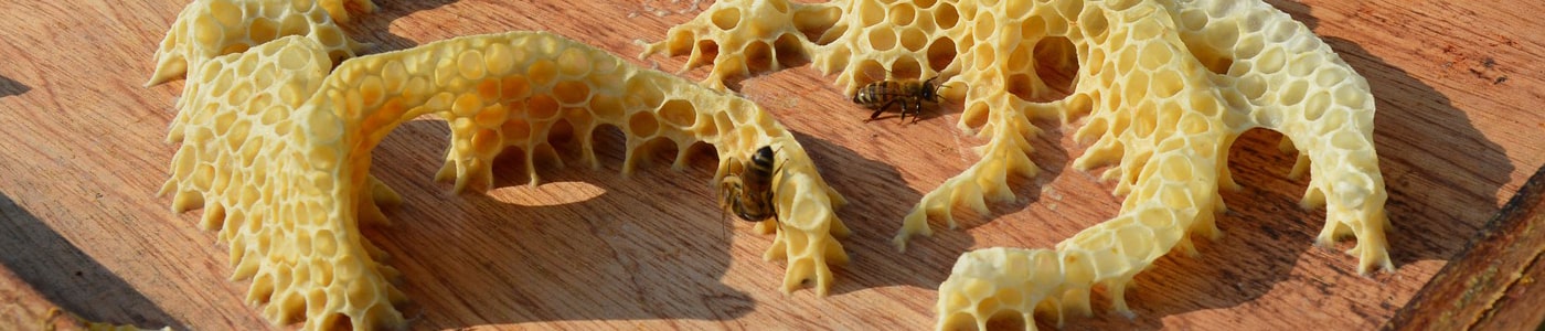 Bienewachskerzen