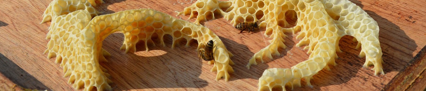 Bee wax candles