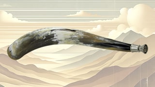 Rufhörner